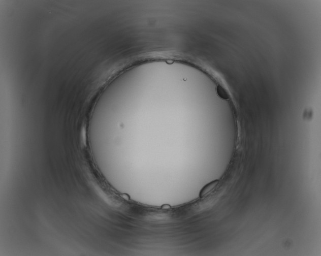 X0000093560061200710151004