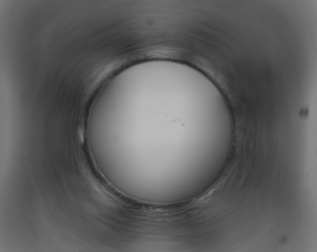 X0000093560062200710151004