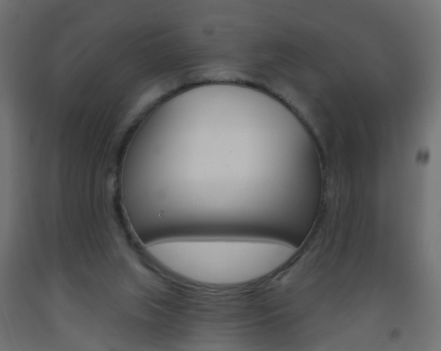 X0000093560063200710151004