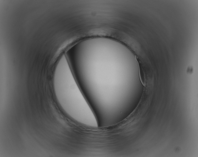X0000093560064200710151004
