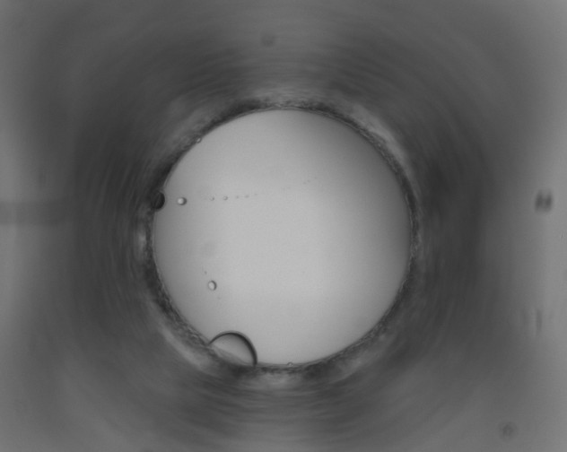 X0000093560065200710151004