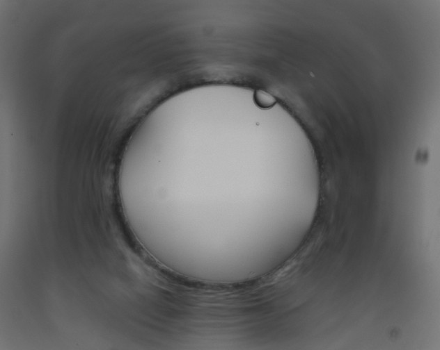 X0000093560066200710151004