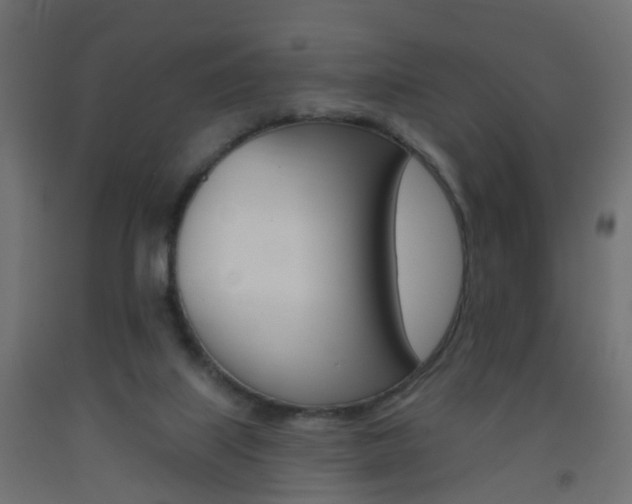 X0000093560067200710151004