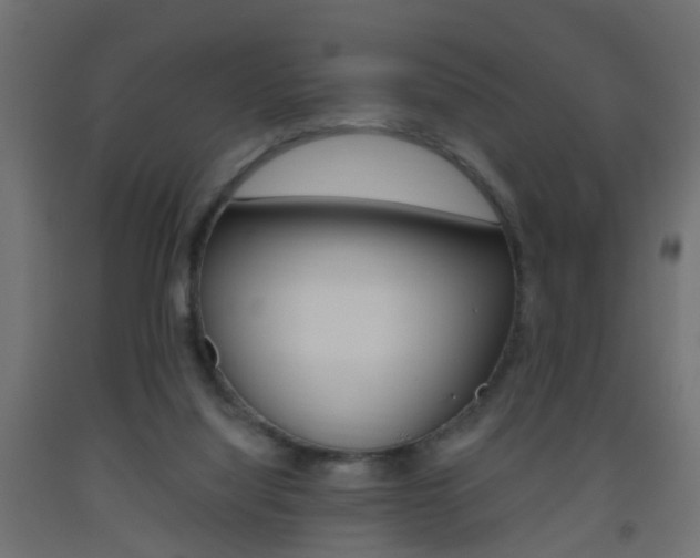 X0000093560068200710151004