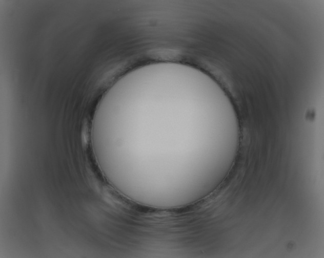 X0000093560069200710151004