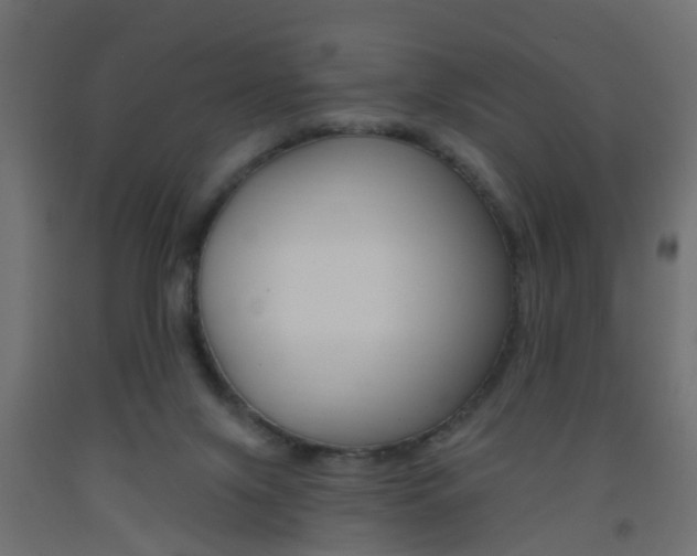 X0000093560071200710151004