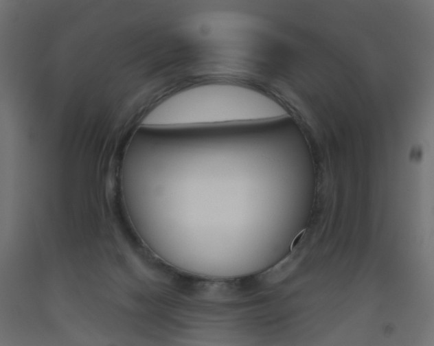 X0000093560074200710151004