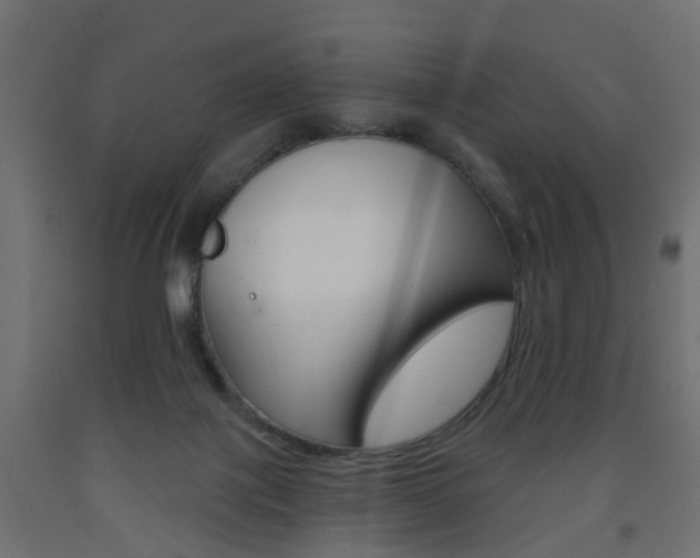 X0000093560075200710151004