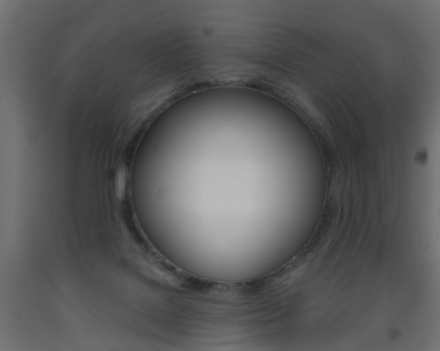 X0000093560076200710151004