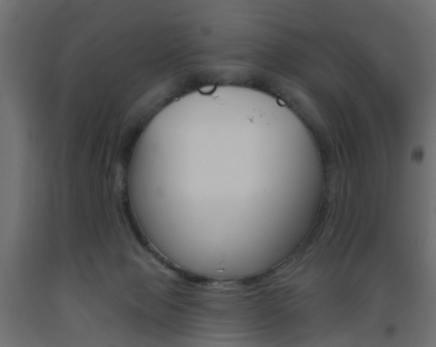 X0000093560077200710151004