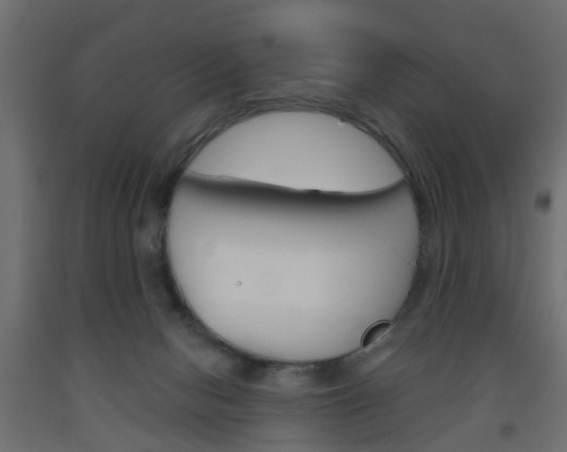 X0000093560078200710151004