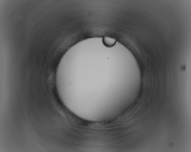 X0000093560079200710151004
