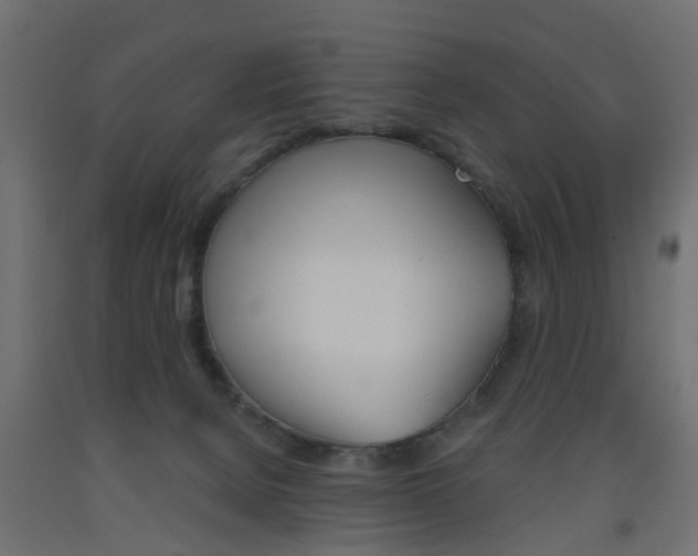 X0000093560080200710151004