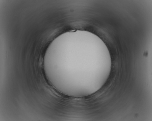 X0000093560081200710151004