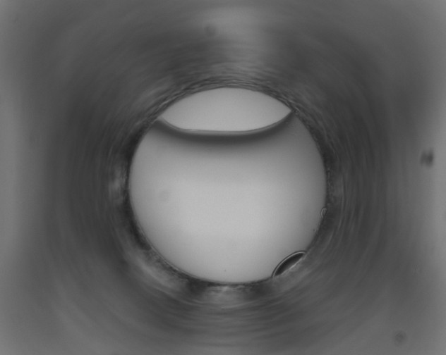 X0000093560082200710151004