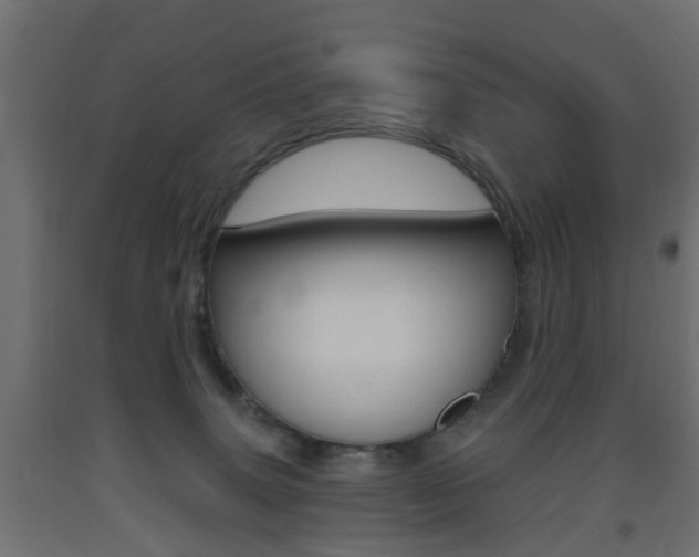 X0000093560083200710151004