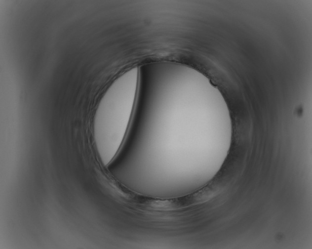 X0000093560085200710151004