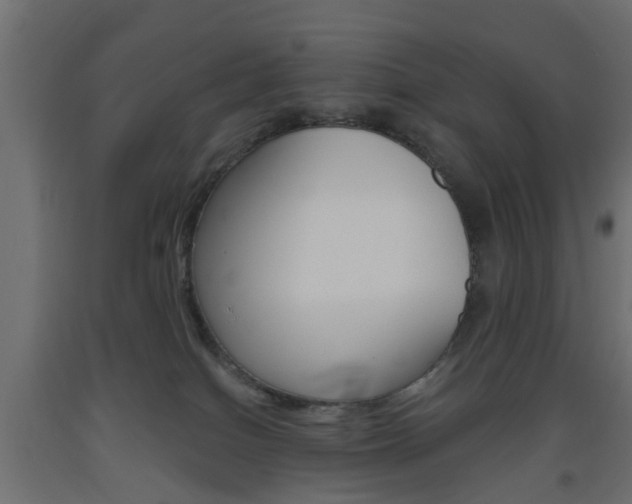 X0000093560086200710151004