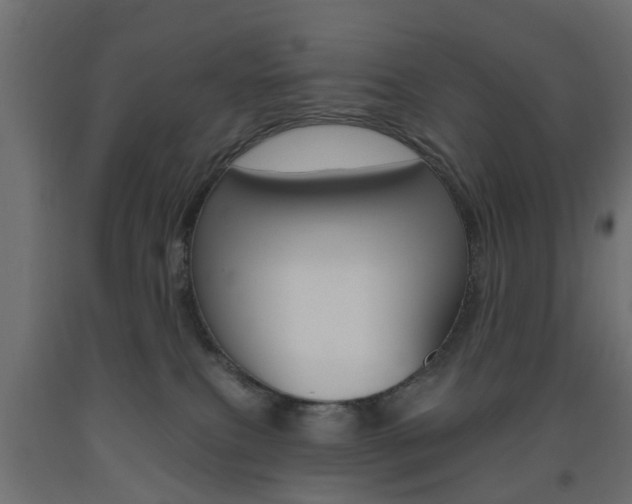 X0000093560087200710151004