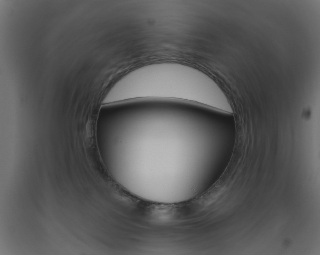 X0000093560088200710151004