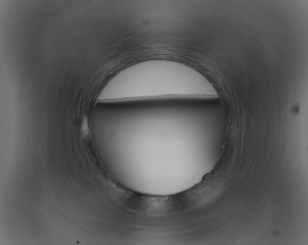 X0000093560089200710151004