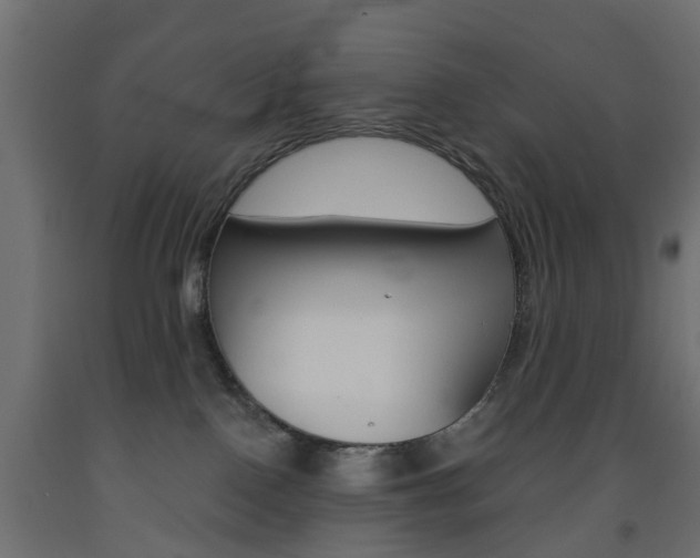 X0000093560090200710151005