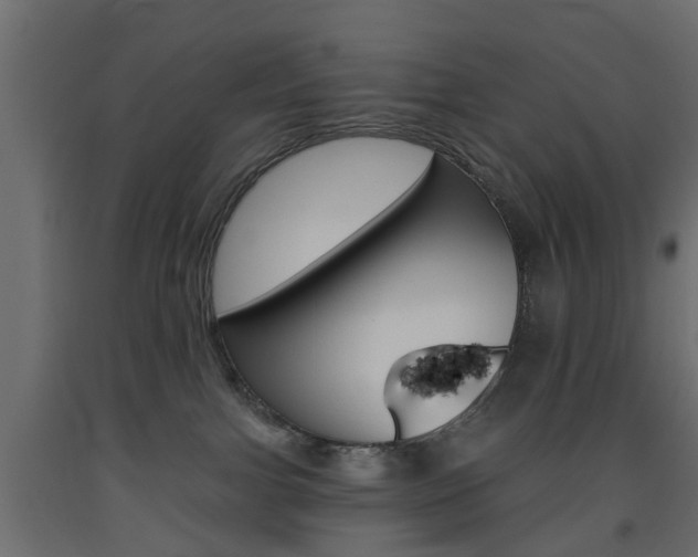 X0000093560091200710151005