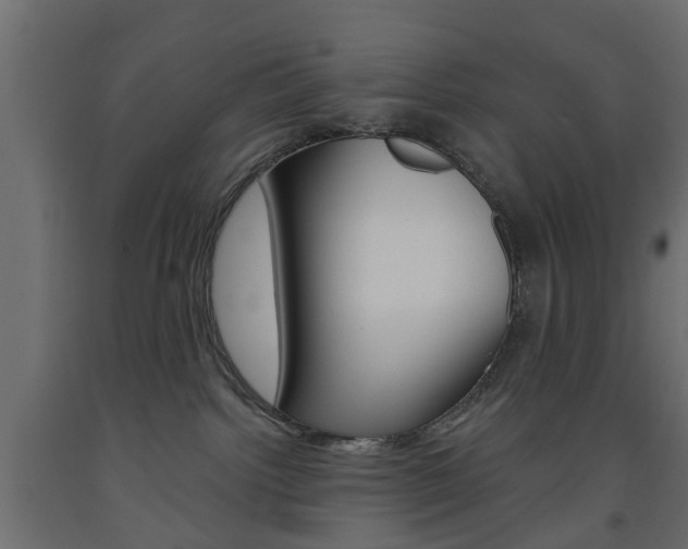 X0000093560092200710151005