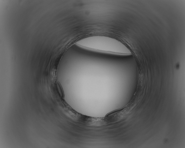 X0000093560093200710151005