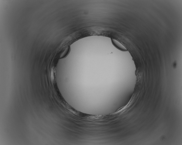 X0000093560094200710151005