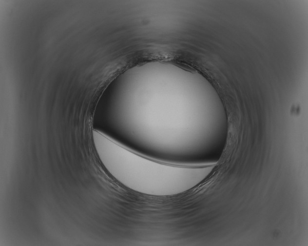 X0000093560096200710151005