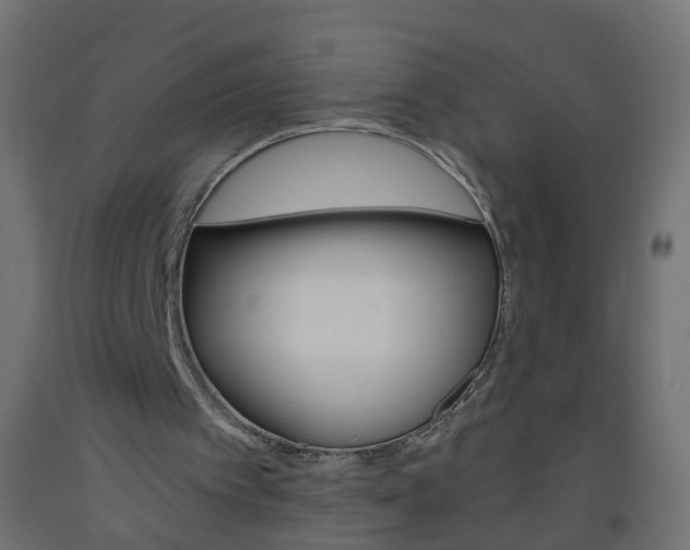 X0000093560097200710151004