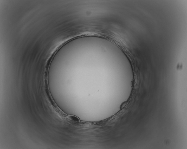 X0000093560098200710151004