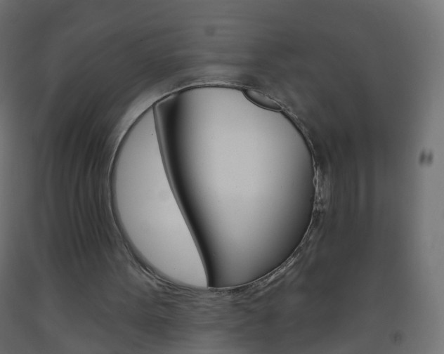 X0000093560099200710151004