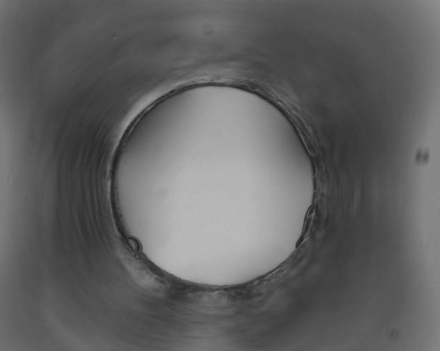 X0000093560100200710151004