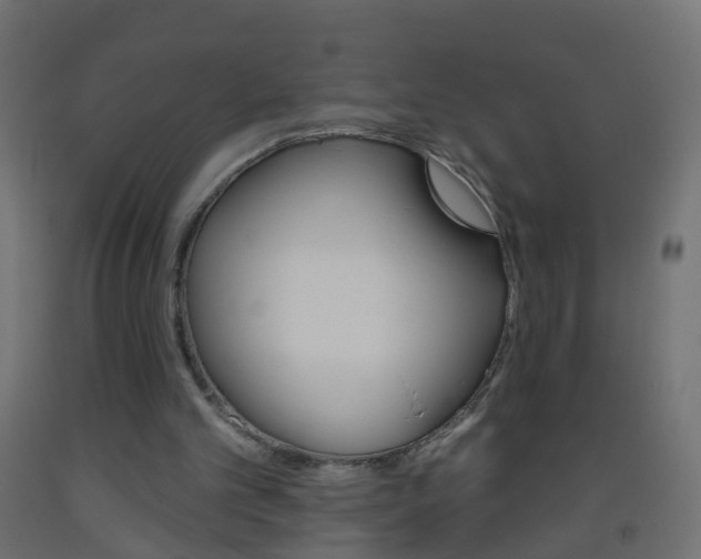 X0000093560101200710151004
