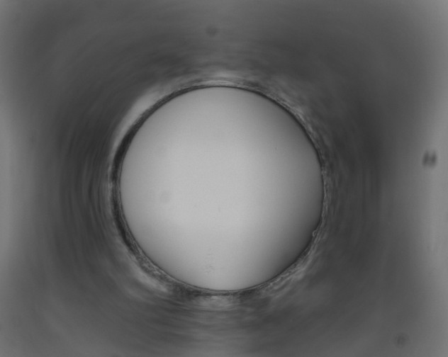 X0000093560102200710151004