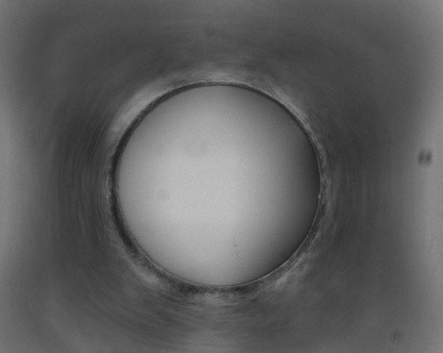 X0000093560103200710151004