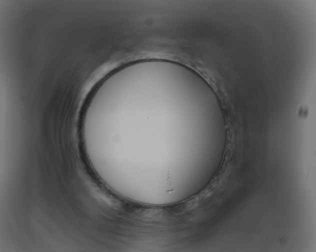 X0000093560104200710151004