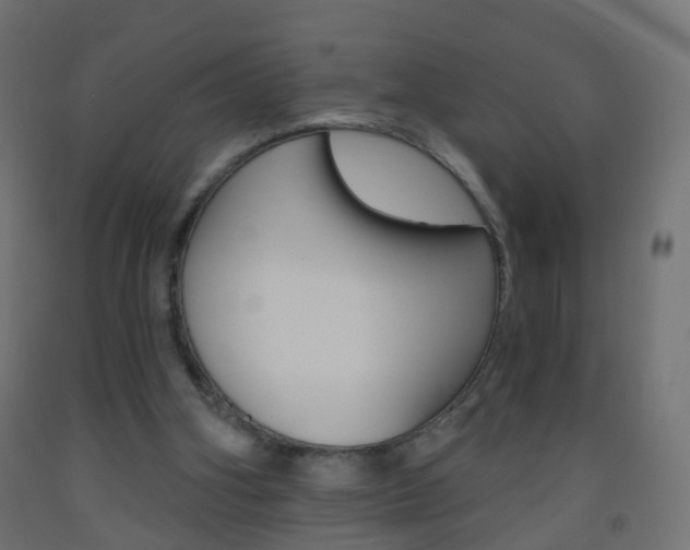 X0000093560106200710151004