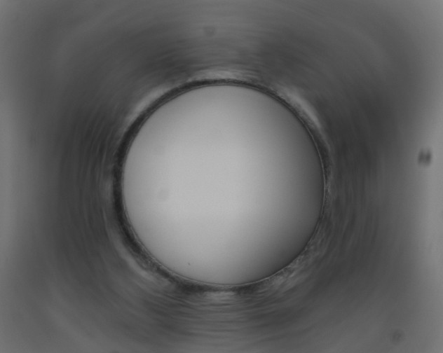 X0000093560108200710151004