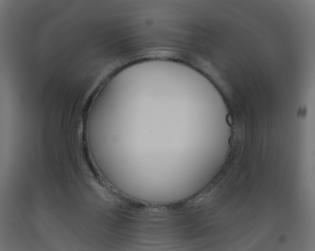X0000093560110200710151004