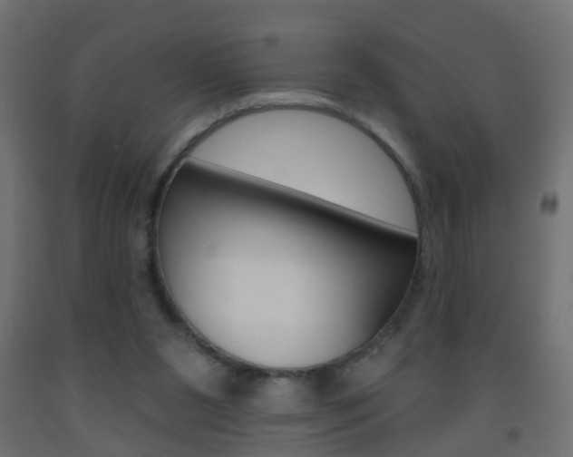 X0000093560111200710151004