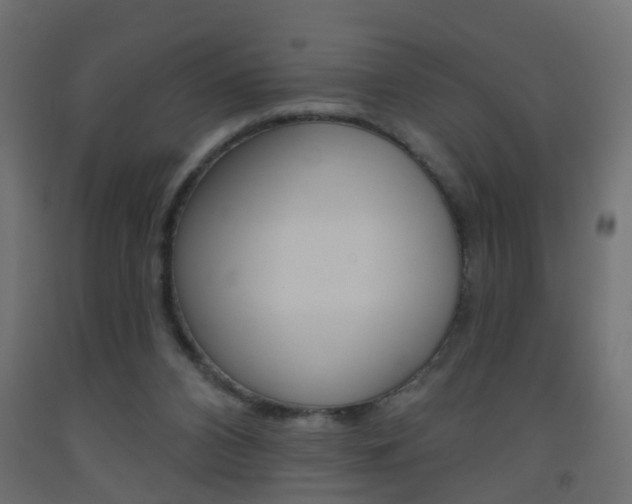 X0000093560112200710151004