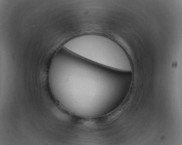 X0000093560113200710151004