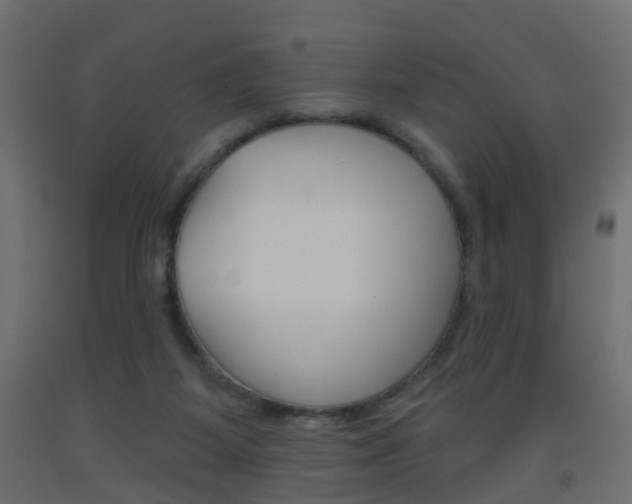X0000093560115200710151004