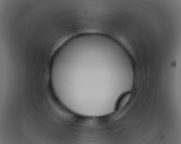X0000093560116200710151004