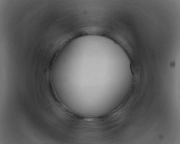 X0000093560117200710151004