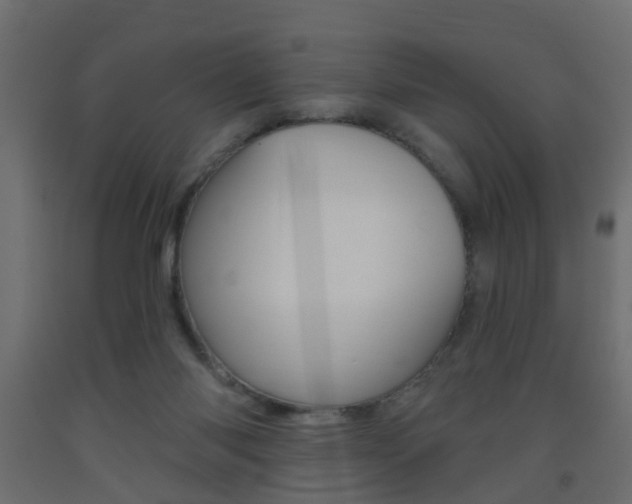 X0000093560118200710151004