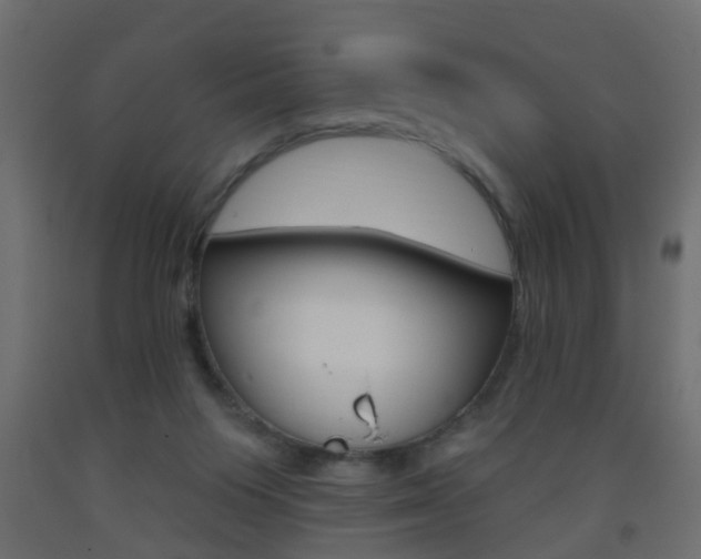 X0000093560119200710151004